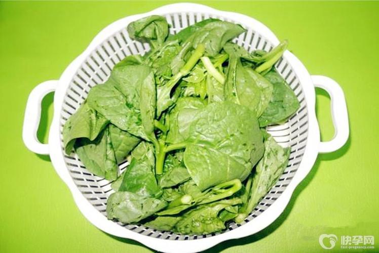 两岁试管宝宝吃什么菜好